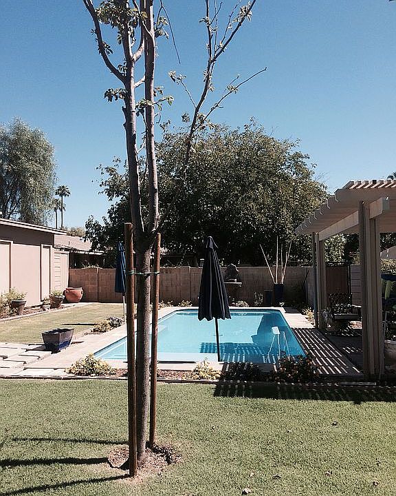 Pool installed 9/2014