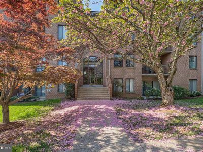 11301 Commonwealth Dr APT T3, Rockville, MD, 20852