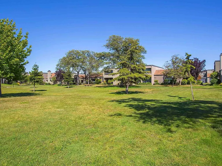 Court Yard