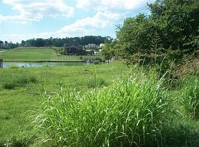 1st image of 188 Forest Ln