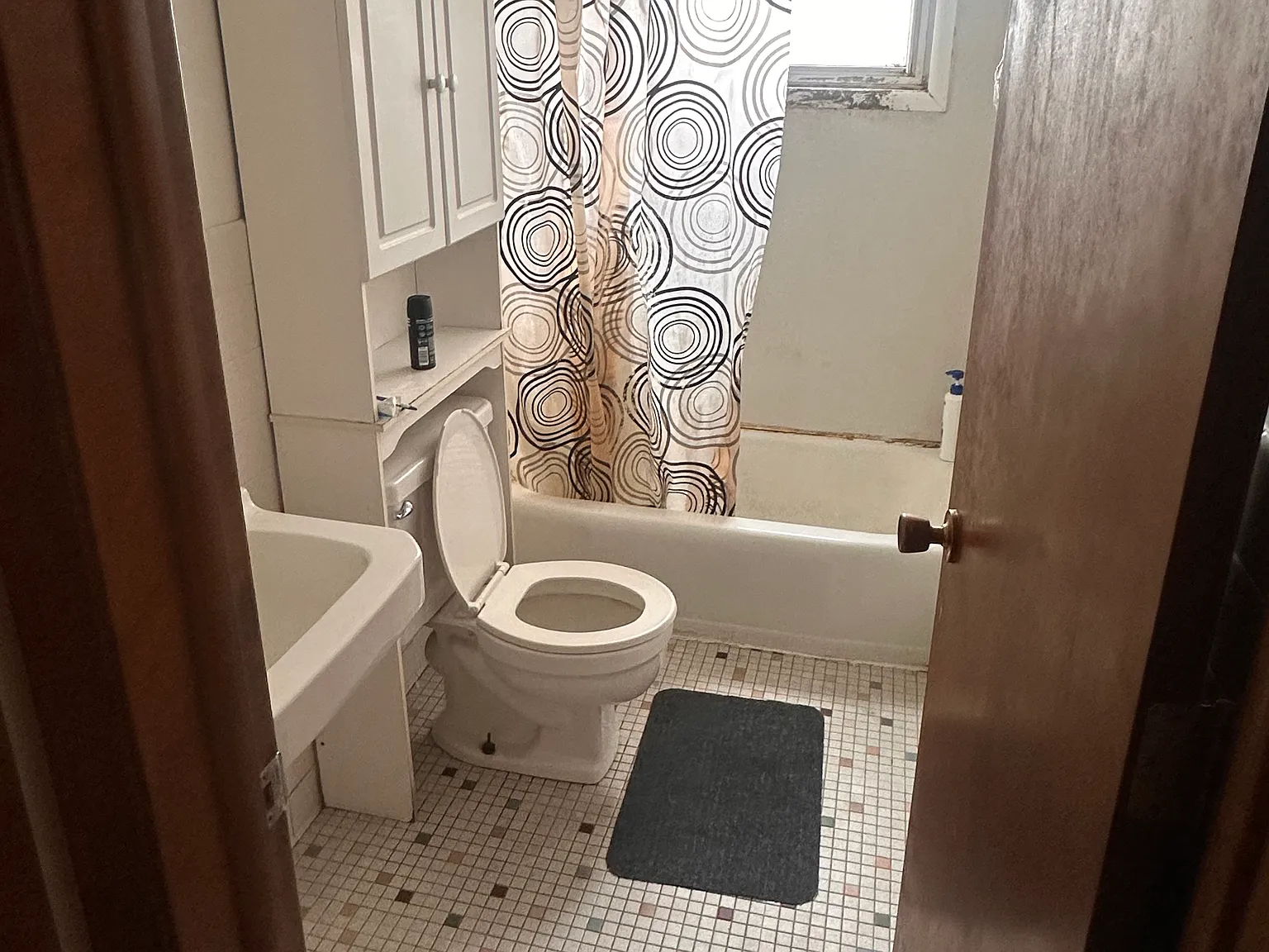 1 bed, $950 — Photo 3