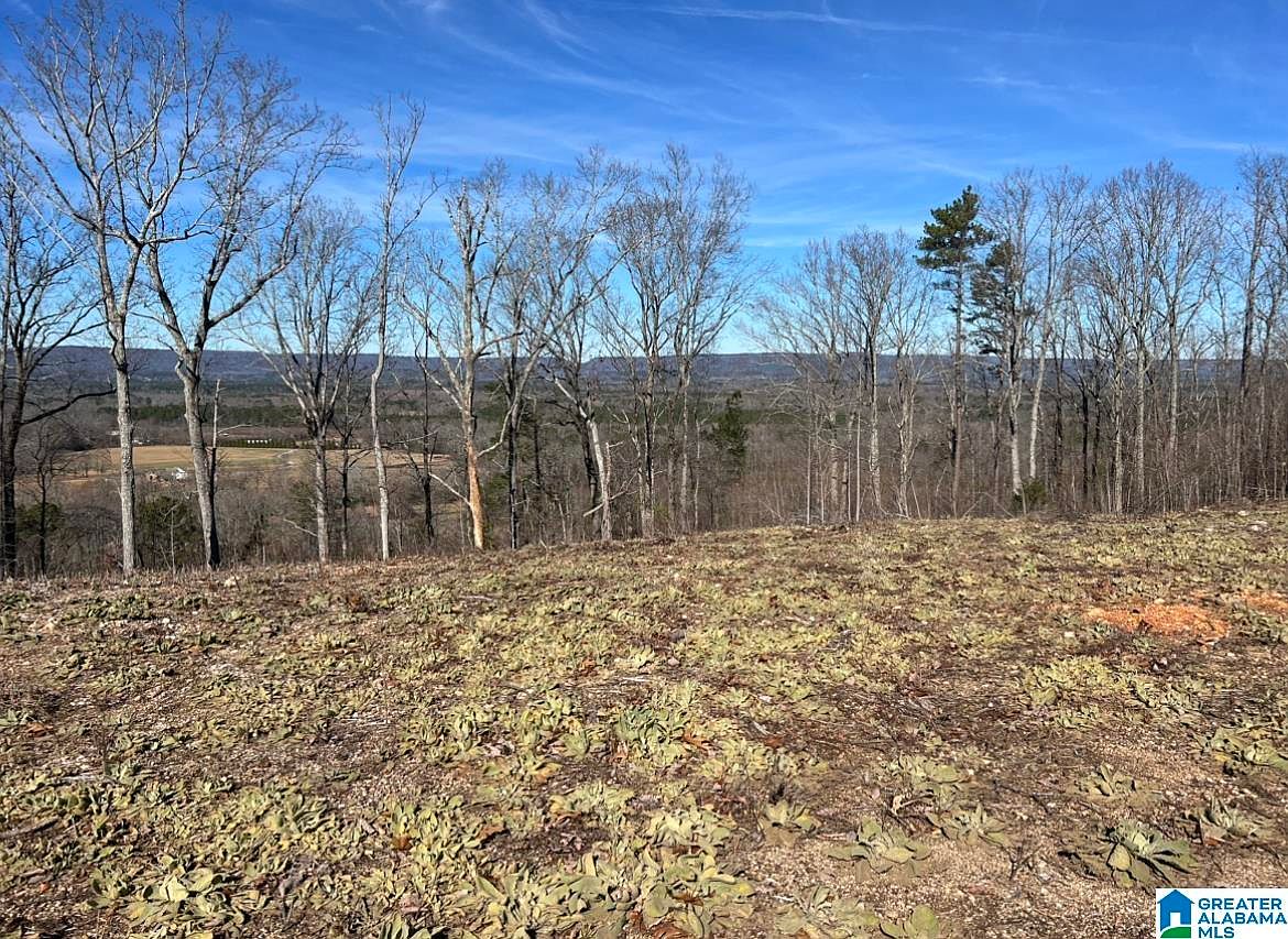 120 Arrowhead Ln 0, Ashville, AL 35953 MLS 1342974 Zillow