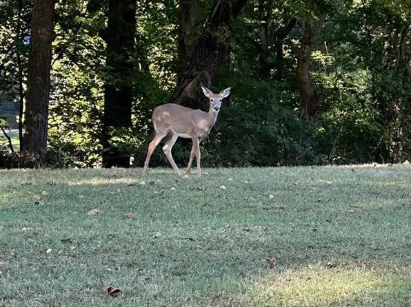 11301 State Highway 231, Utica, KY 42376