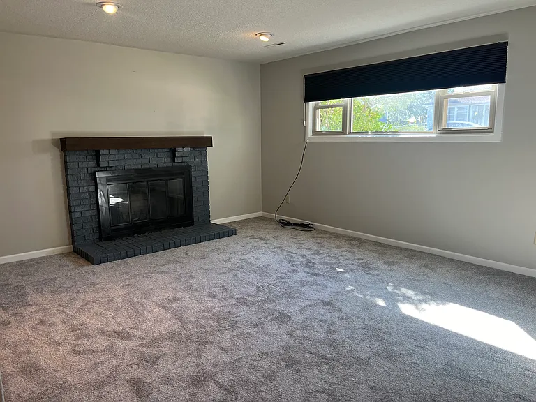 Wood burning fireplace