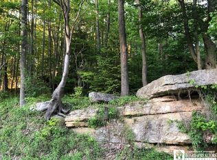0 Nys Rte LOT 6, Allegany, NY 14706