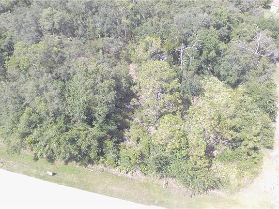 4th image of 2521 Pine Needle Trl