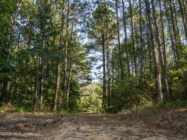 884 Truitt Rd, Pickens, MS 39146