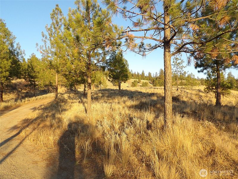 4th image of 0 TBD Bear Camp Road