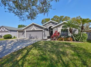2516 Allwood Ave, Valrico, FL 33596