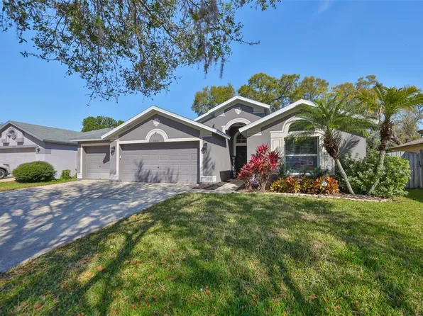 2516 Allwood Ave, Valrico, FL 33596