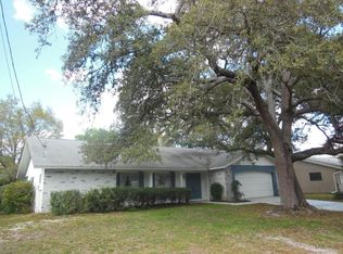 11167 Holbrook St, Spring Hill, FL 34609