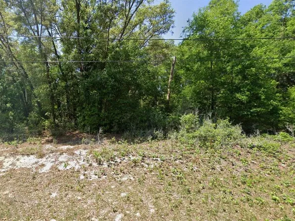 GUAVA PASS LANE LOT 4, OCKLAWAHA, FL 32179