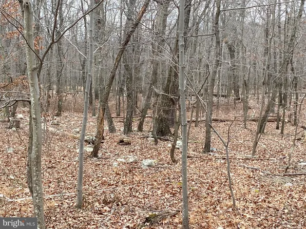 24 Stag Trl, Winchester, VA 22602