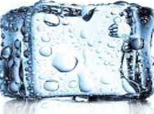 4615 Petit Ave, Encino, CA 91436