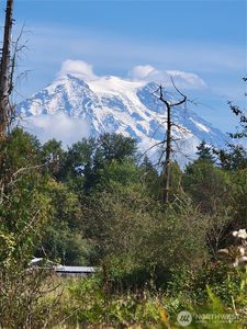 31208 Lebor Devore Road E, Eatonville, WA, 98328
