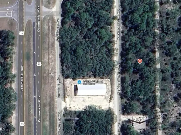 17108 Necklace Warbler Ave, Brooksville, FL 34614