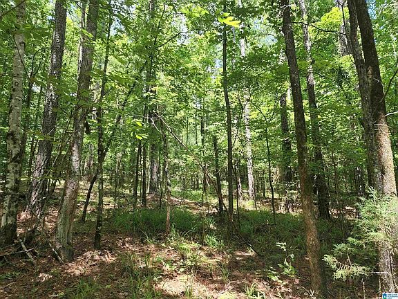 3rd image of 0 County Road 49 #38.00
