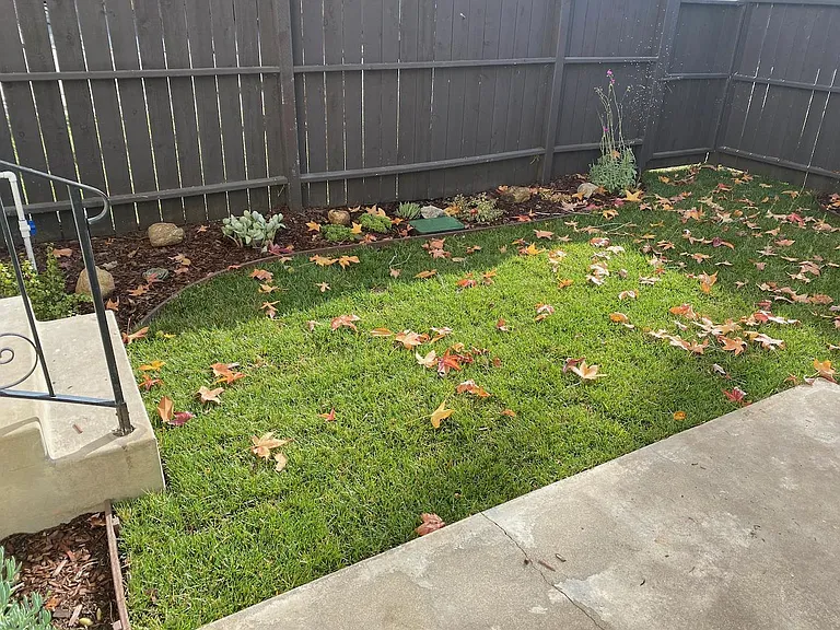 137 N Myrtle Ave #1 — Photo 13