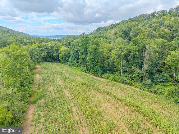 4th image of 0 Carls Hill Rd Parcel 8