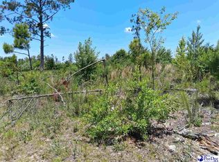 Short Rd, Wallace, SC 29596