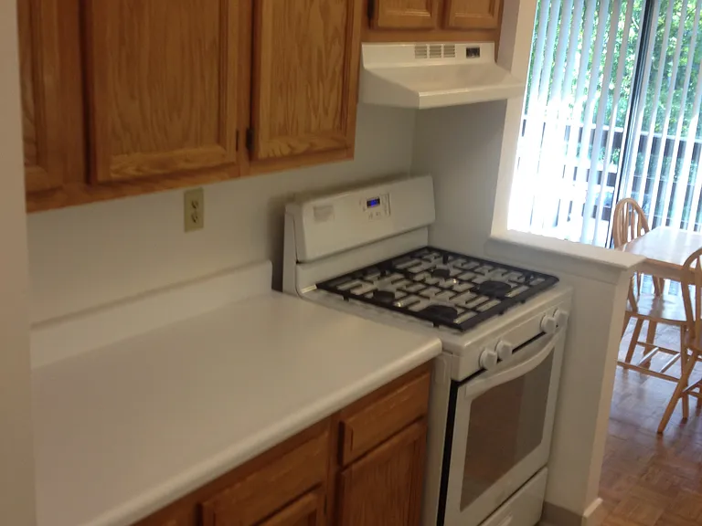407 Lake St #B21 — Photo 5