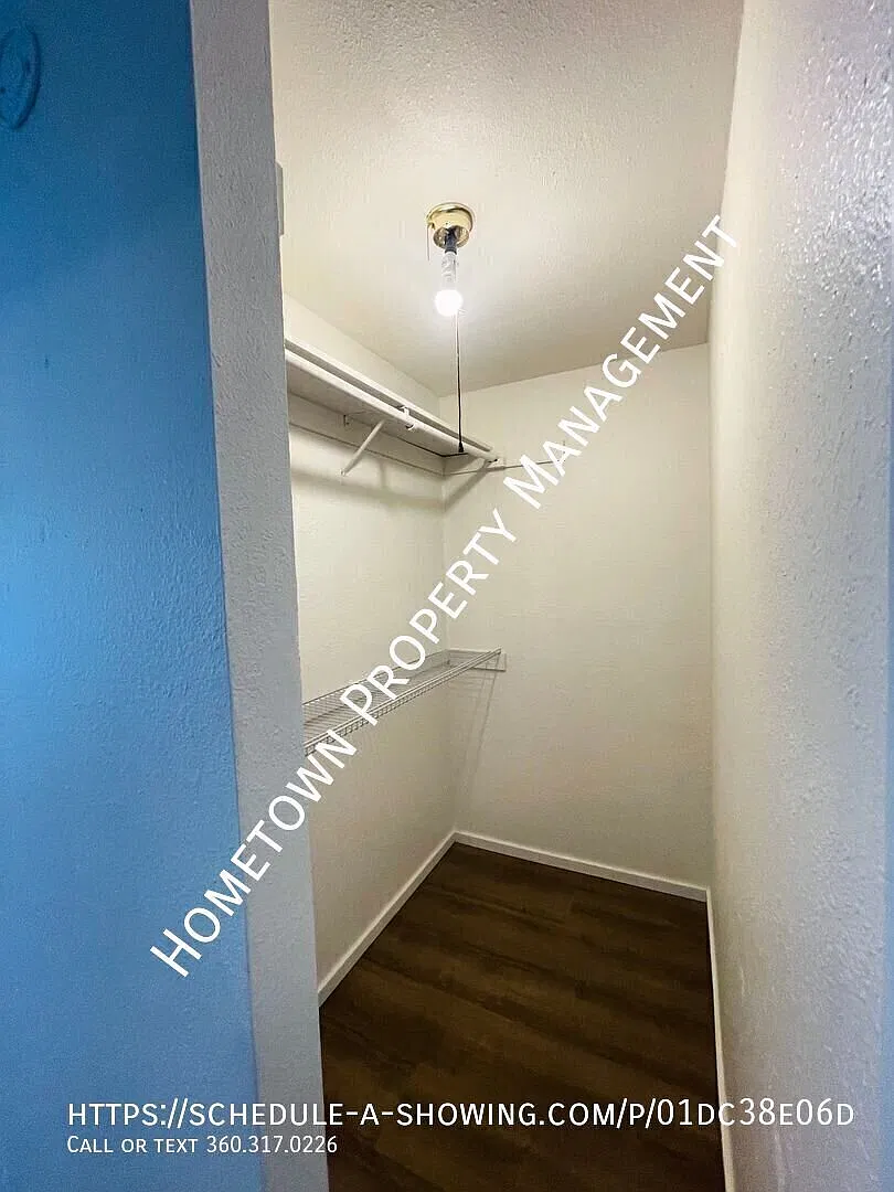 1 Bed 1 Bath in Lacey - Available Now! — Photo 3