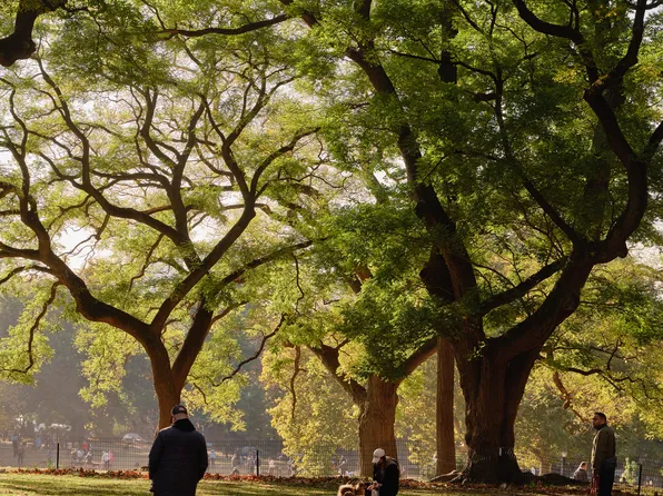 567 Fulton Street image 30 of 32