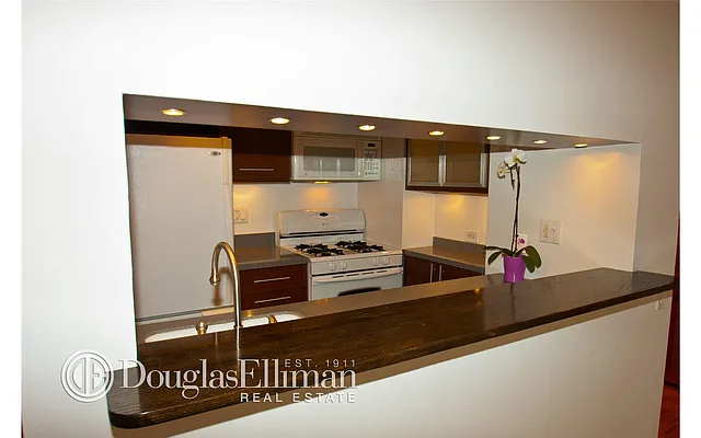 Rented by Douglas Elliman | media 3