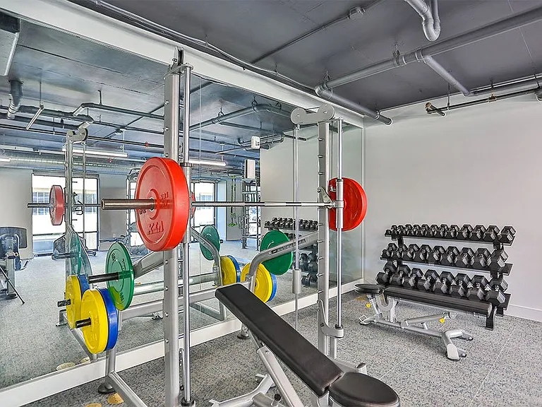 Phase 1 - Professional Equipment So You Can Reach Your Goals