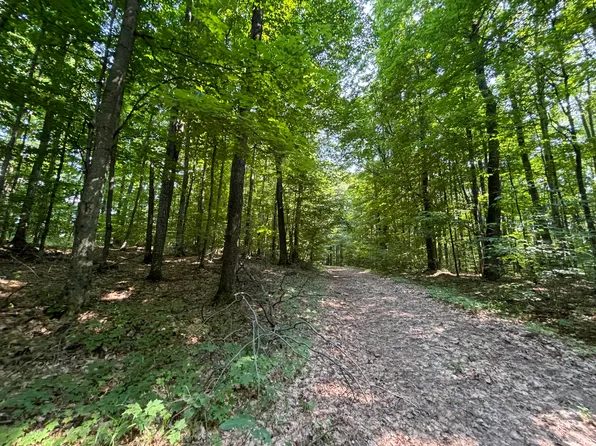 V/l 11a Wildwood Ct, Bellaire, MI 49615