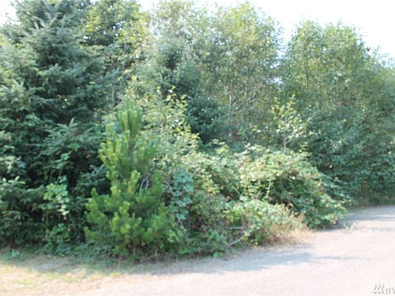 5th image of 2413 259th Ln