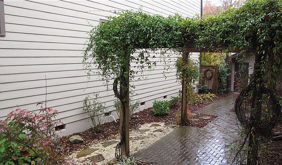 side yard