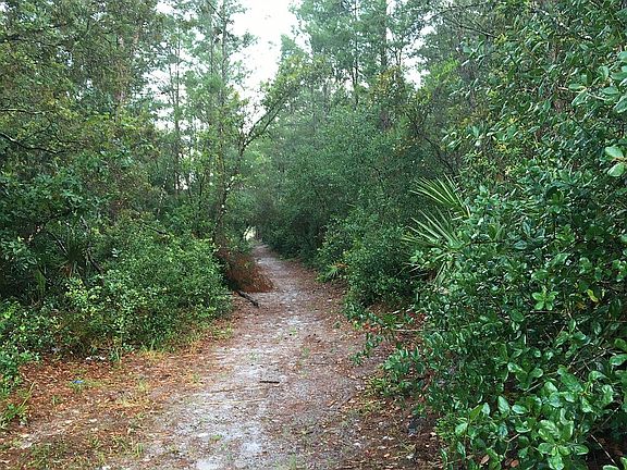 Trail to lake