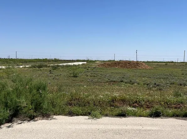 2334 Longhorn Dr, Stanton, TX 79782
