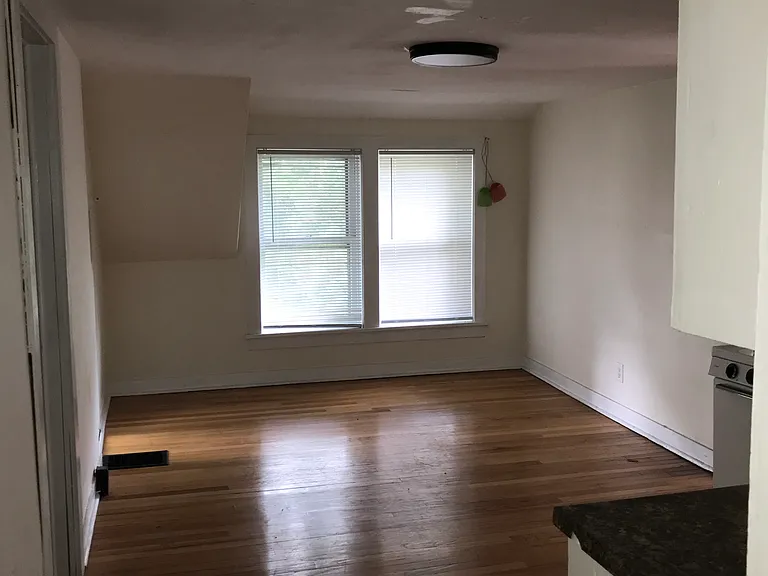 203 E Union St #UPPER — Photo 6