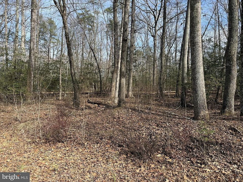 2nd image of LOT 8A Park Ave