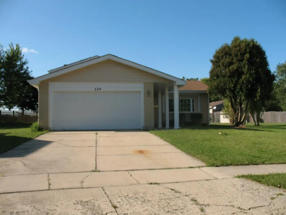 524 Buckley Ct photo 1