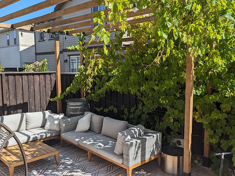 Backyard with a cozy pergola