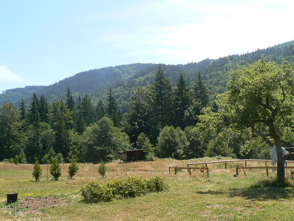 round pen on site
