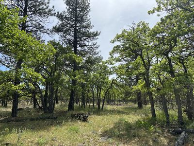 D Pne, Goldendale, WA, 98620
