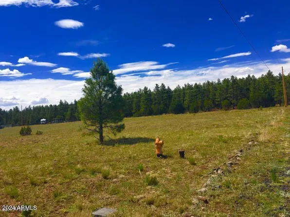 TBD E MOUNTAIN MEADOW Lane #033, Lakeside, AZ 85929