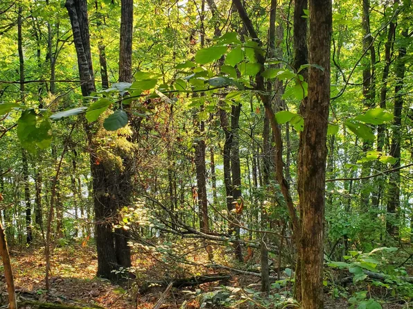 (undisclosed Address), Fairfield Bay, AR 72088