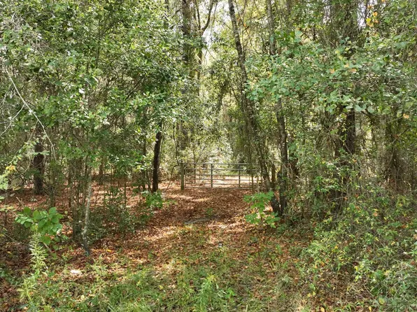 1514 SE Alfred Markham St, Lake City, FL 32025