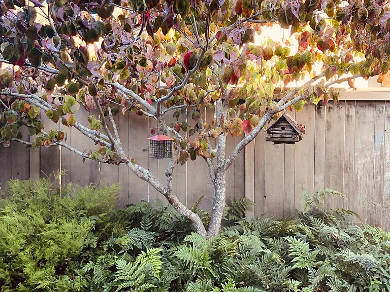 510 Pine St — Photo 31