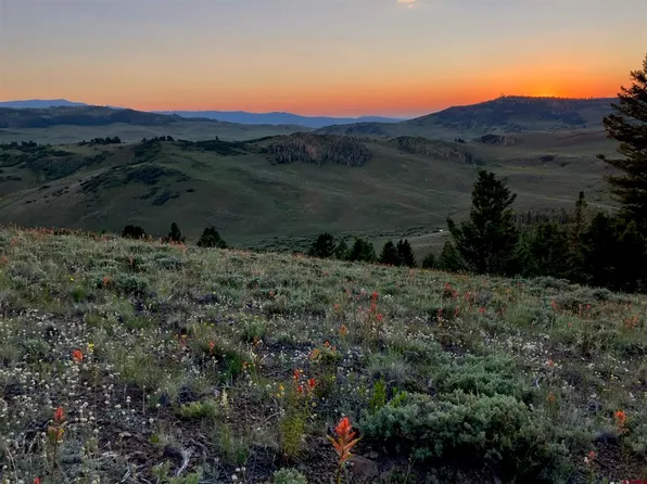 721 Crest Drive, Cimarron, CO 81220