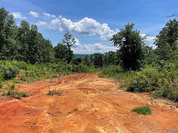 3rd image of Hornbuckle Rd