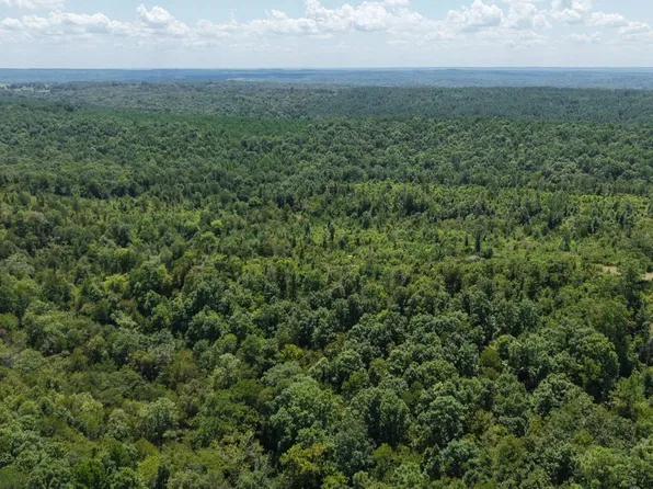 W 80000th Rd, Gillham, AR 71841