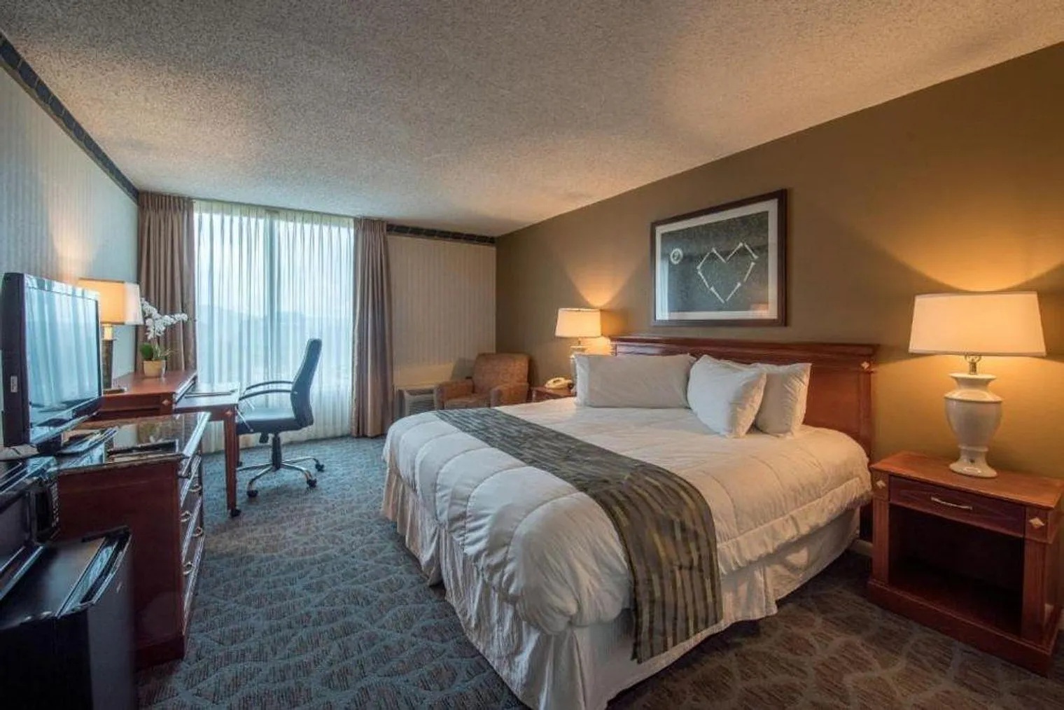 Studio, 1.0 bath, 430 sqft, $1,470 — Photo 4