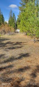 119 Happy Hollow Rd, Grangeville, ID, 83530