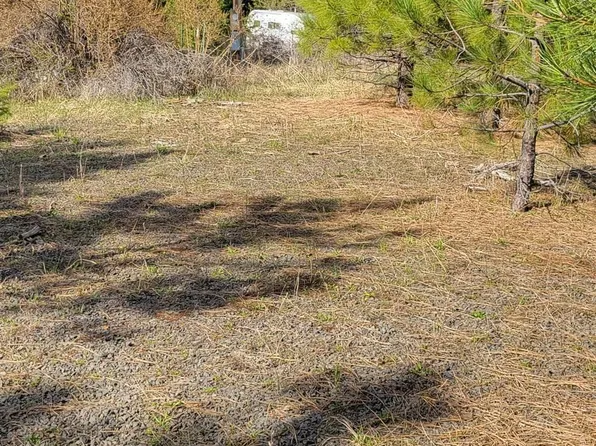 119 Happy Hollow Rd, Grangeville, ID 83530